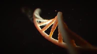 基因染色体特写医疗科技素材视频的预览图